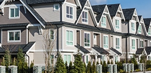 Residential Pest Control